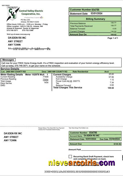 USA CENTRAL VALLEY ELECTRIC business utility bill
